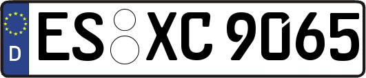 ES-XC9065