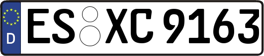 ES-XC9163