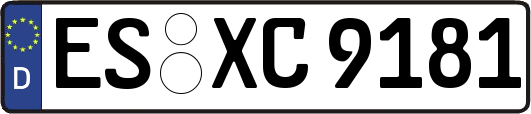 ES-XC9181