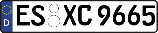 ES-XC9665