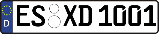 ES-XD1001