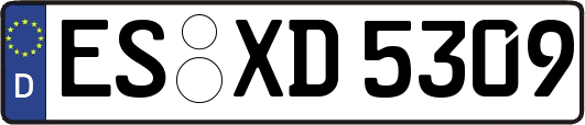 ES-XD5309