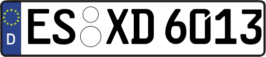 ES-XD6013