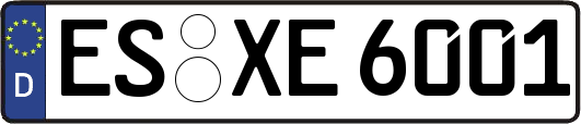 ES-XE6001