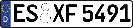 ES-XF5491
