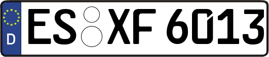 ES-XF6013