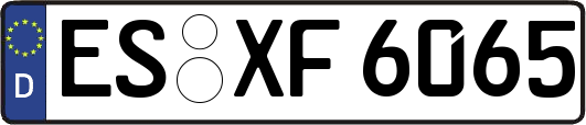 ES-XF6065