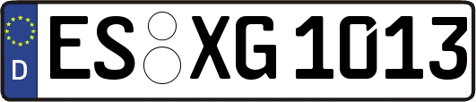 ES-XG1013
