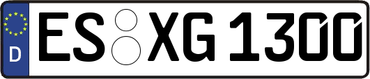 ES-XG1300