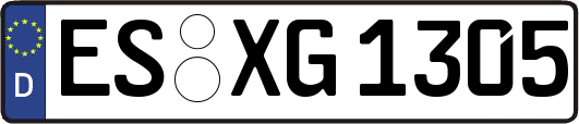 ES-XG1305