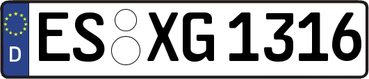 ES-XG1316
