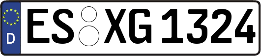ES-XG1324
