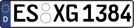 ES-XG1384