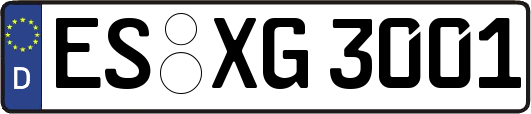 ES-XG3001