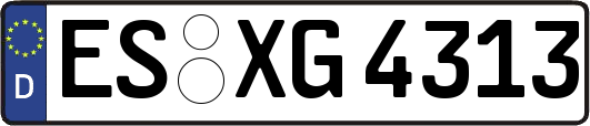 ES-XG4313