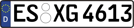 ES-XG4613
