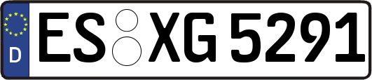 ES-XG5291