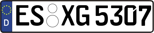 ES-XG5307