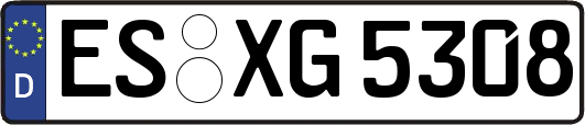 ES-XG5308