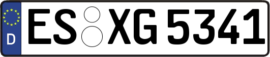 ES-XG5341