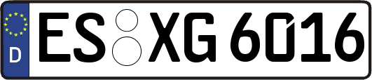 ES-XG6016