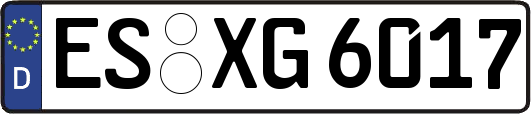 ES-XG6017
