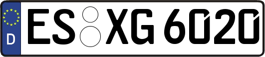 ES-XG6020