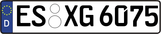 ES-XG6075
