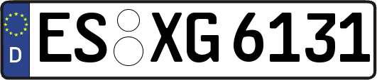 ES-XG6131