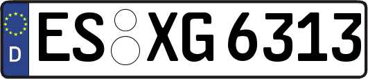 ES-XG6313