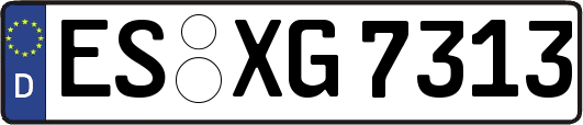 ES-XG7313