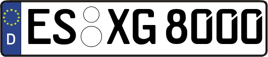 ES-XG8000