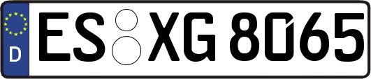ES-XG8065