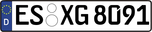 ES-XG8091