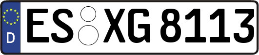 ES-XG8113