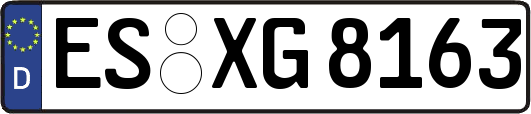 ES-XG8163