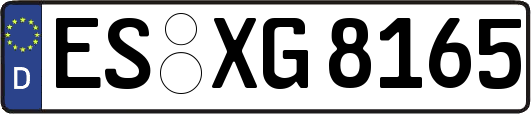 ES-XG8165