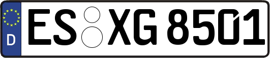 ES-XG8501