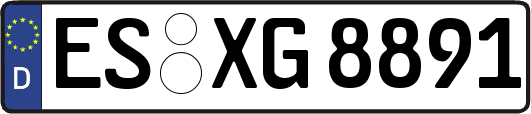 ES-XG8891