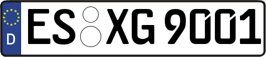 ES-XG9001