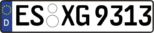 ES-XG9313