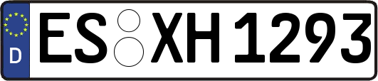 ES-XH1293