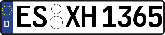 ES-XH1365