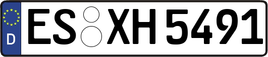 ES-XH5491