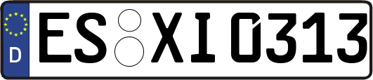 ES-XI0313