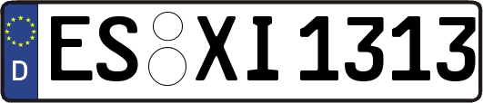 ES-XI1313