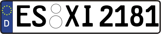 ES-XI2181