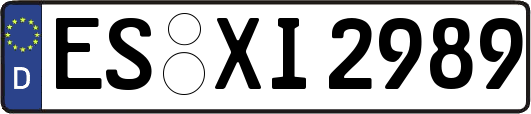 ES-XI2989
