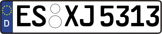 ES-XJ5313