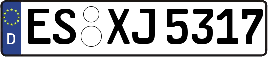ES-XJ5317